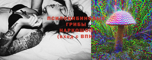 гидра Алзамай