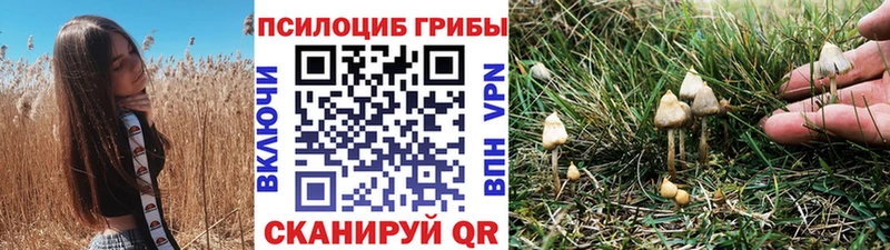наркошоп  Сольцы  blacksprut ссылка  Галлюциногенные грибы Psilocybe 